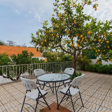 Patios Marias - Magnolia